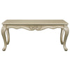 ACME Libertee Champagne Coffee Table Model LV03825