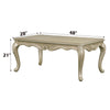 ACME Libertee Champagne Coffee Table Model LV03825