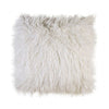 Furniture of America Sheri White Contemporary Throw Pillow Model PL8018-2PK
