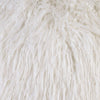 Furniture of America Sheri White Contemporary Throw Pillow Model PL8018-2PK