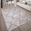 Furniture of America Hepsiba Ogee Beige Contemporary Area Rug Model RG4147