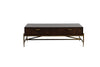 Modrest Shane Modern Acacia & Brass Coffee Table Model VGNXMEMPHIS-ACA-CT