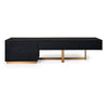 Modrest Tasha Modern Black Ash & Brushed Gold Tv Stand Model VGVCTV2308