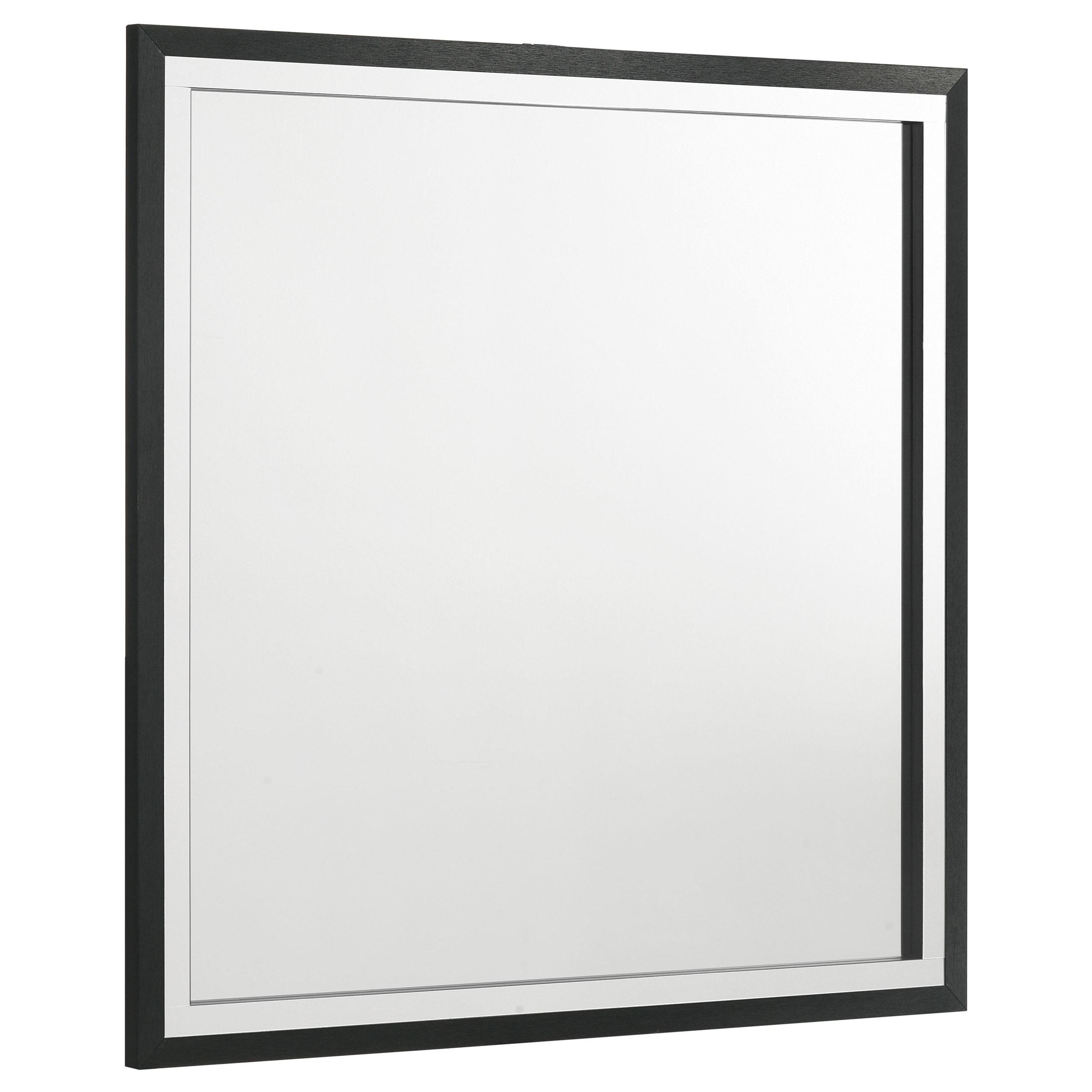 Coaster Lucia Modern Classics Black Dresser Mirror Model 224994