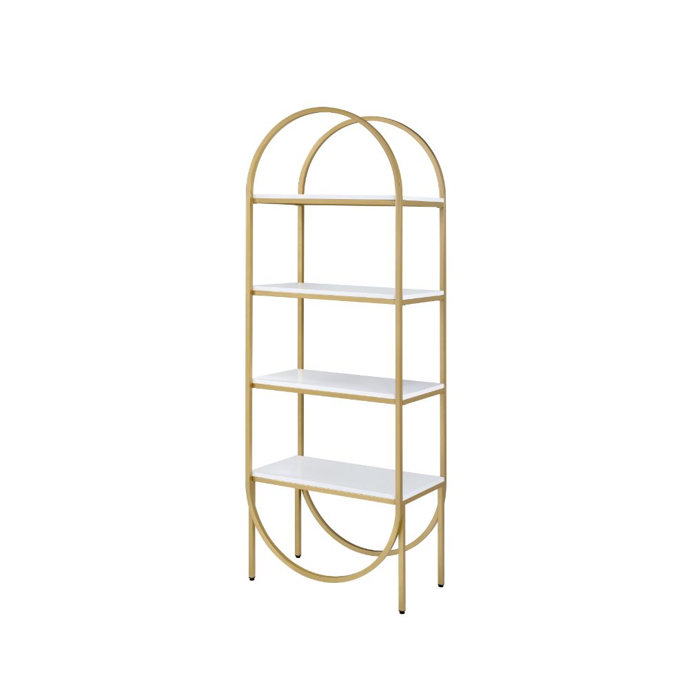 Acme Lightmane Bookshelf Model 92662