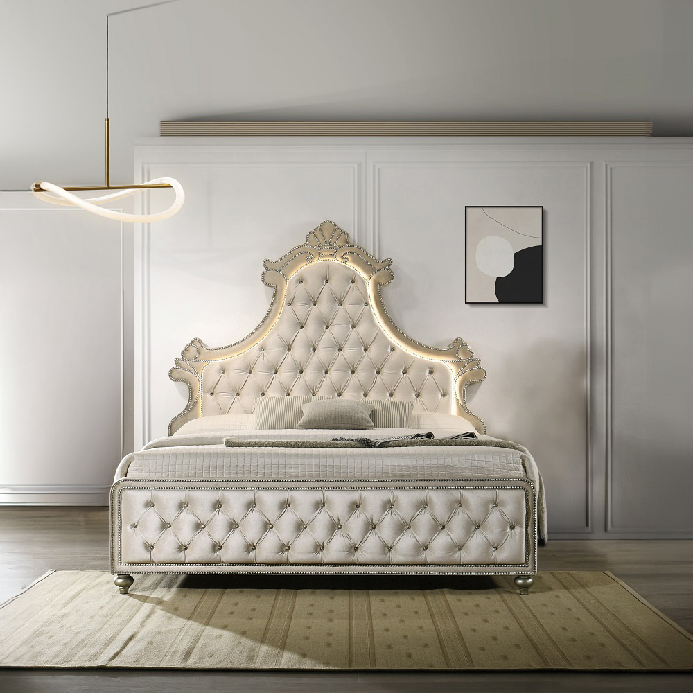 Acme Lucienne Queen Bed with LED Model BD02335Q