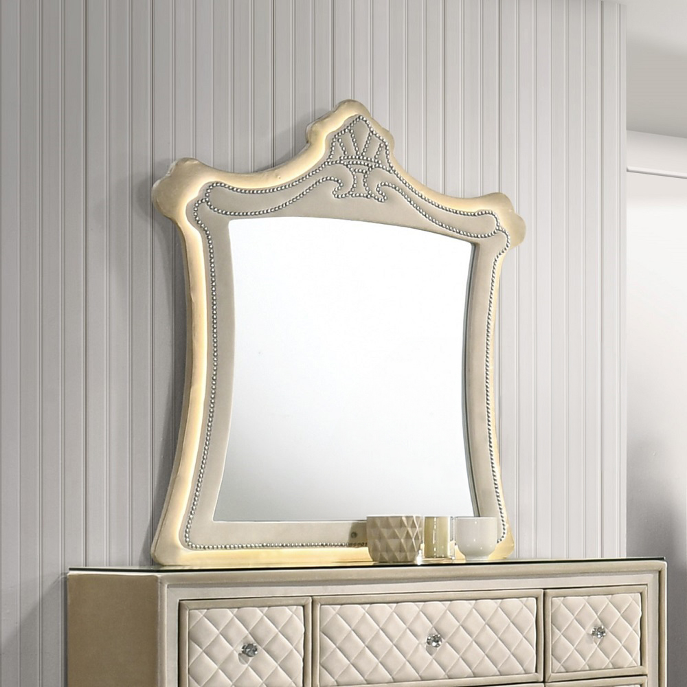 Acme Lucienne Mirror with Led Model BD02337