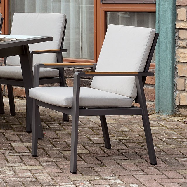 Furniture Of America Alycia Transitional White/Beige/Gray Arm Chair Model CM-OT2141AC-6PK