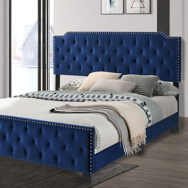 Furniture Of America Charlize Contemporary Navy Bed Model CM7414NV-Queen Bed