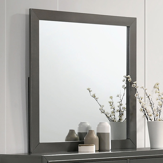 Furniture Of America Alison Contemporary Metallic Gray Mirror Model CM7416GY-M