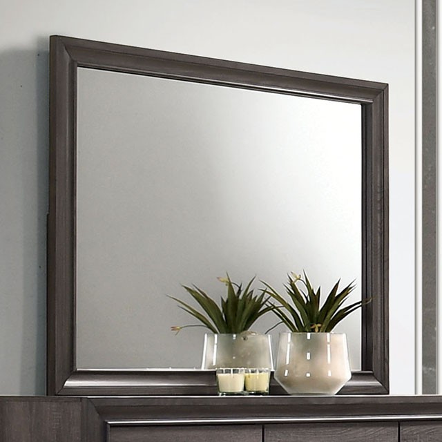 Furniture Of America Chrissy Contemporary Gray Mirror Model CM7552GY-M