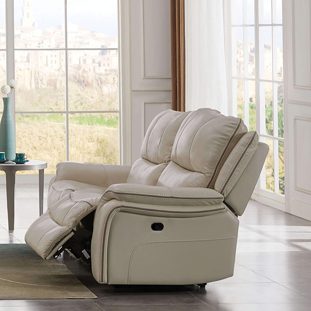 Furniture Of America Henricus Transitional Beige Loveseat Model CM9911BG-LV