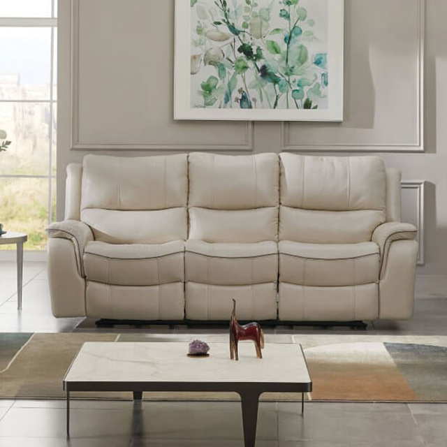 Furniture Of America Henricus Transitional Beige Sofa Model CM9911BG-SF