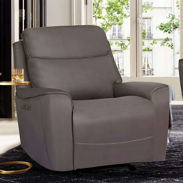 Furniture Of America Artemia Transitional Gray Power Recliner Model CM9922GY-CH-PM