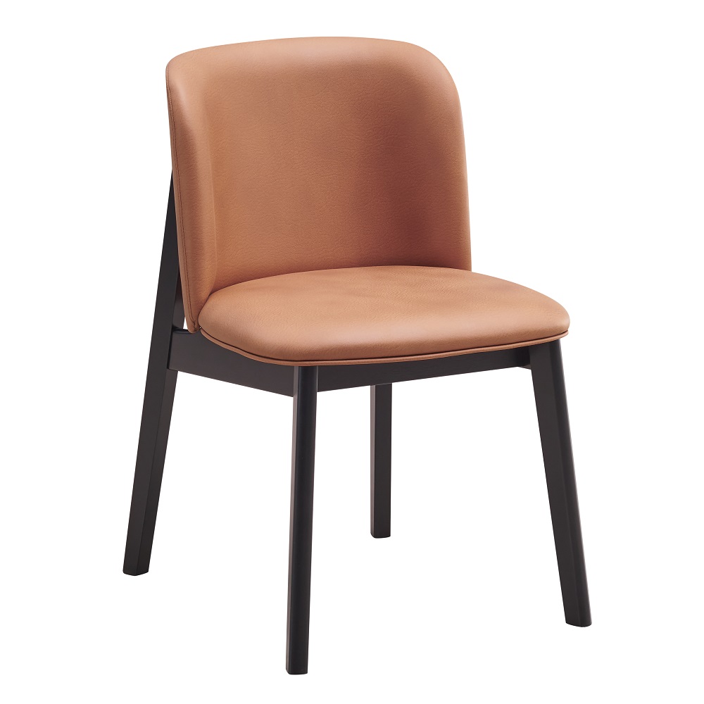 Acme Eliora Side Chair (Set-2) Model DN02367