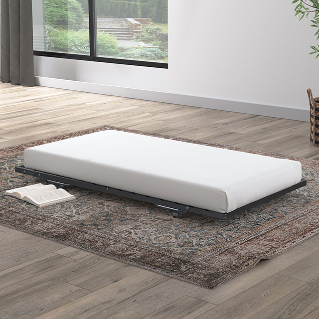 Furniture Of America Ivana Contemporary Black Universtal Metal Trundle Model FM-TR900BK