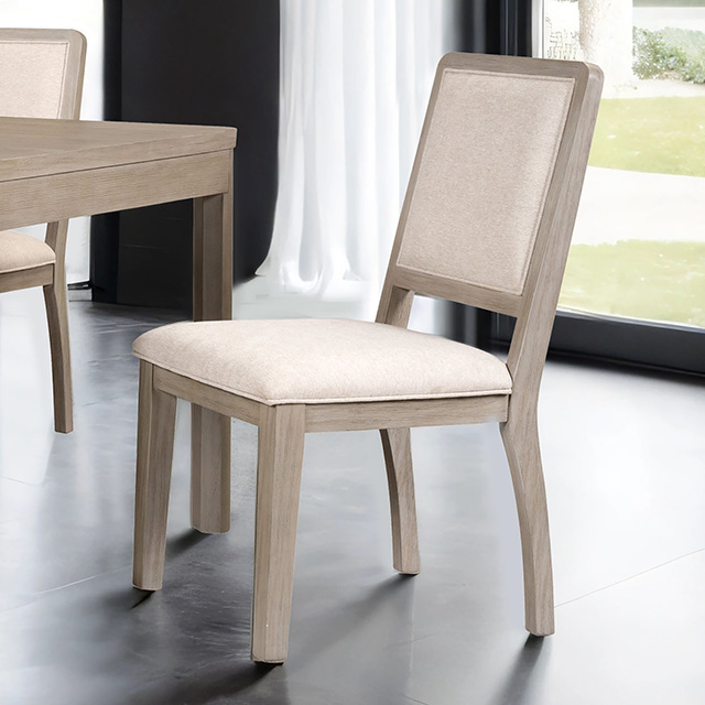 Furniture Of America Belize Modern Gray Side Chair (2/Ctn) Model FM39016AK-SC-2PK