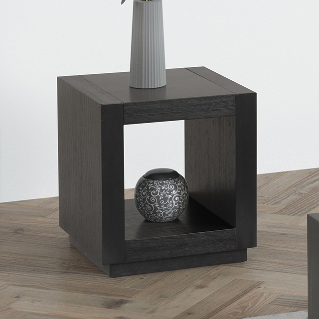 Furniture Of America Dothan Contemporary Black End Table Model FM44009BK-E