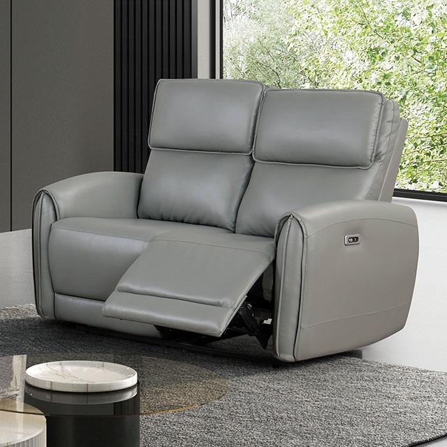 Furniture Of America Schlieren Contemporary Gray Power Loveseat Model FM6012GY-LV-PM