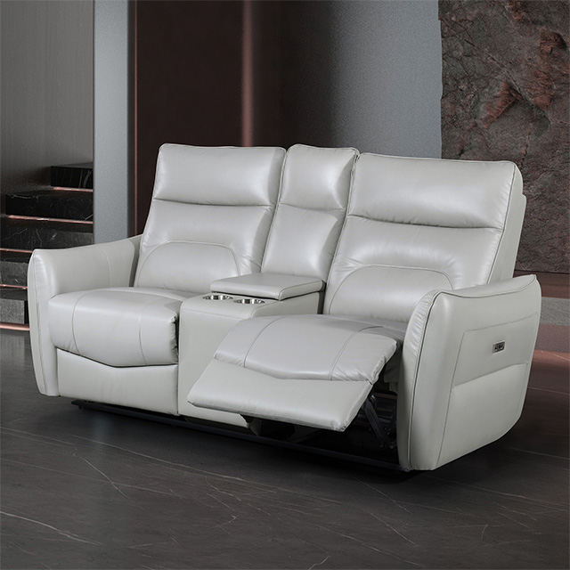 Furniture Of America Terentius Contemporary Taupe Power Loveseat Model FM69006TP-LV-PM