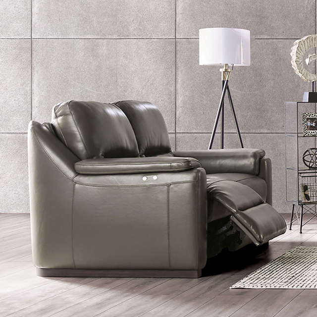 Furniture Of America Altamura Transitional Gray Power Loveseat Model FM90002GY-LV-PM-PK